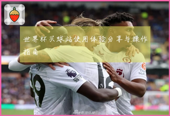 世界杯买球站使用体验分享与操作指南