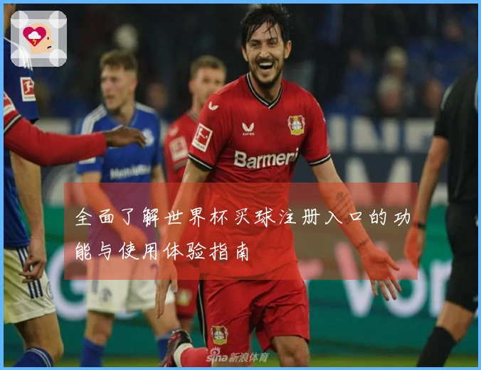 全面了解世界杯买球注册入口的功能与使用体验指南