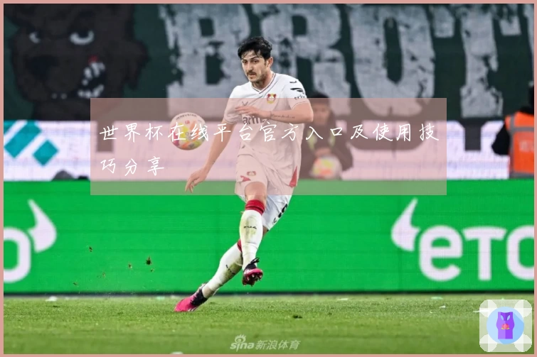 世界杯在线平台官方入口及使用技巧分享