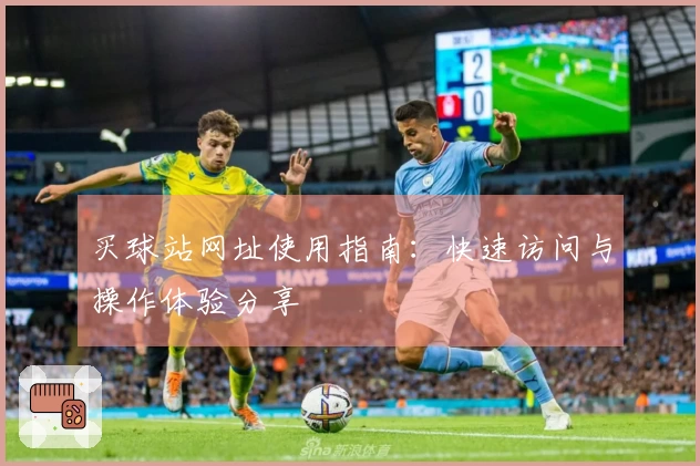 买球站网址使用指南：快速访问与操作体验分享