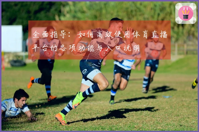 全面指导：如何高效使用体育直播平台的各项功能与入口说明
