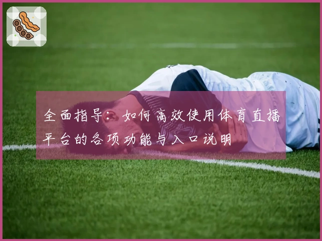 全面指导:如何高效使用体育直播平台的各项功能与入口说明