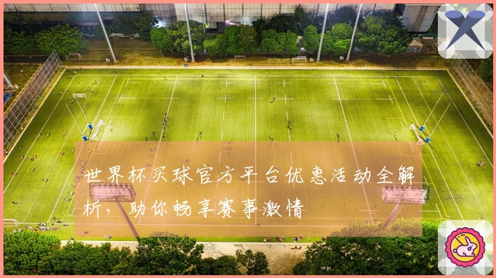 世界杯买球官方平台优惠活动全解析，助你畅享赛事激情