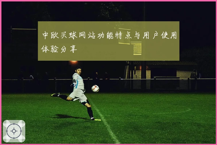 中欧买球网站功能特点与用户使用体验分享