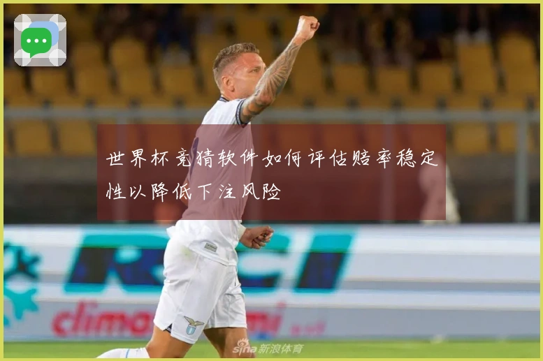 世界杯竞猜软件如何评估赔率稳定性以降低下注风险