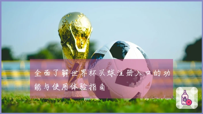 全面了解世界杯买球注册入口的功能与使用体验指南