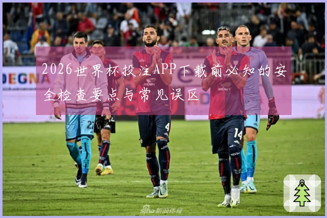 2026世界杯投注APP下载前必知的安全检查要点与常见误区