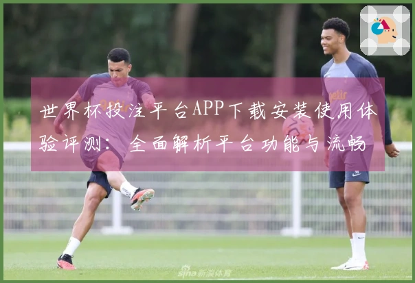 世界杯投注平台APP下载安装使用体验评测：全面解析平台功能与流畅度