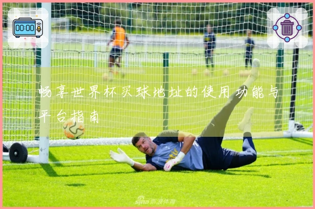 畅享世界杯买球地址的使用功能与平台指南