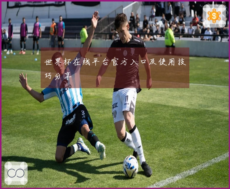 世界杯在线平台官方入口及使用技巧分享