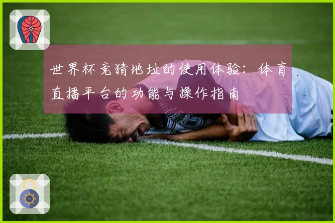 世界杯竞猜地址的使用体验：体育直播平台的功能与操作指南