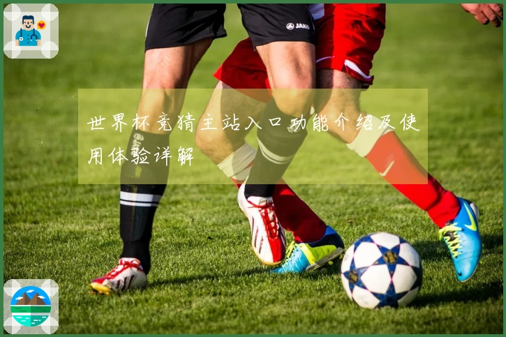 世界杯竞猜主站入口功能介绍及使用体验详解