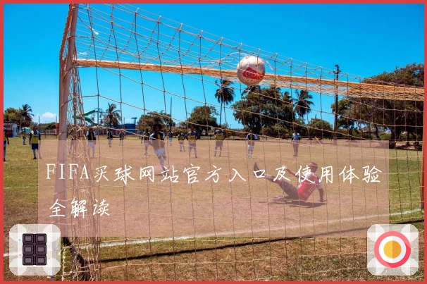 FIFA买球网站官方入口及使用体验全解读