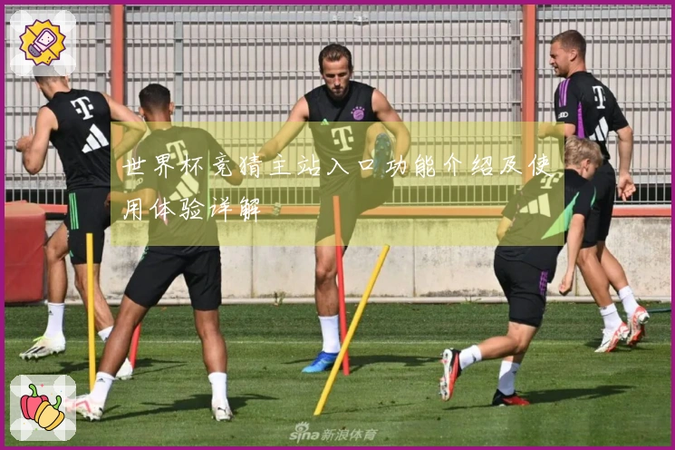 世界杯竞猜主站入口功能介绍及使用体验详解