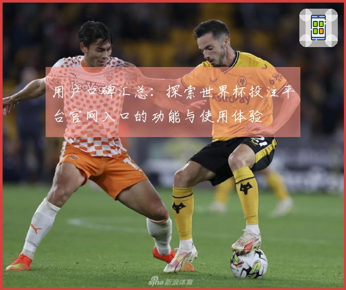 用户口碑汇总：探索世界杯投注平台官网入口的功能与使用体验