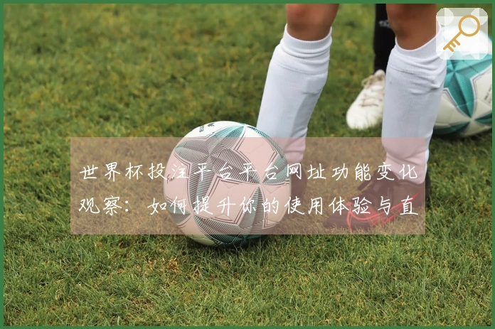 世界杯投注平台平台网址功能变化观察：如何提升你的使用体验与直播乐趣