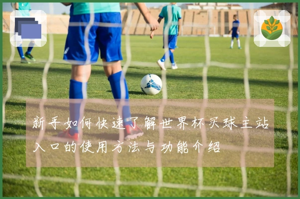 新手如何快速了解世界杯买球主站入口的使用方法与功能介绍