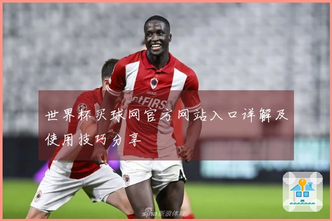 世界杯买球网官方网站入口详解及使用技巧分享